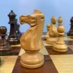 Kasparov' s Chess Evolution - Recordings