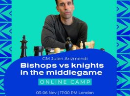 Bishops vs Knights